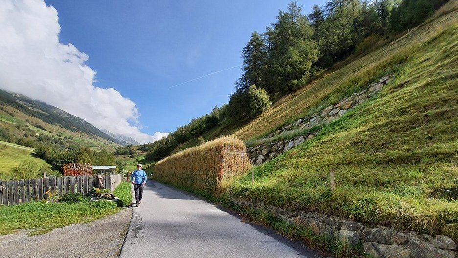 Alpin Geologie: Construction of a rockfall protection dam in the Matsch valley