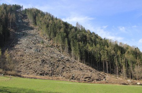 Rock collapse in the hamlet of Santo Stefano at 'Haidenberg'