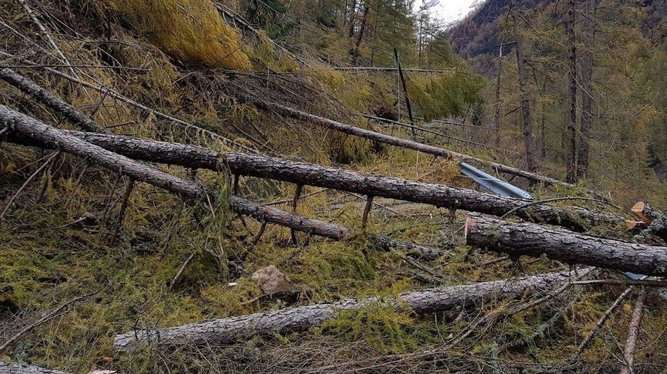 Alpin Geologie: Emergency operations (storm 2019) along the rural road (91.4) of the Pfossental valley