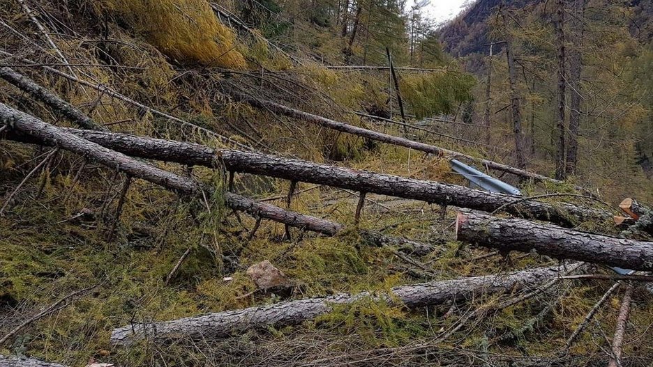 Alpin Geologie: Dringlichkeitseinsätze Unwetter 2018 an der G.S.91.4-Pfossental