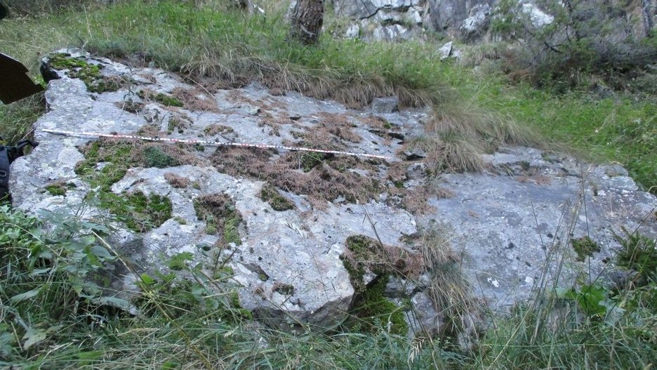 Alpin Geologie: Val di Fosse-S.C.91.4 "Tschingl Lahn"