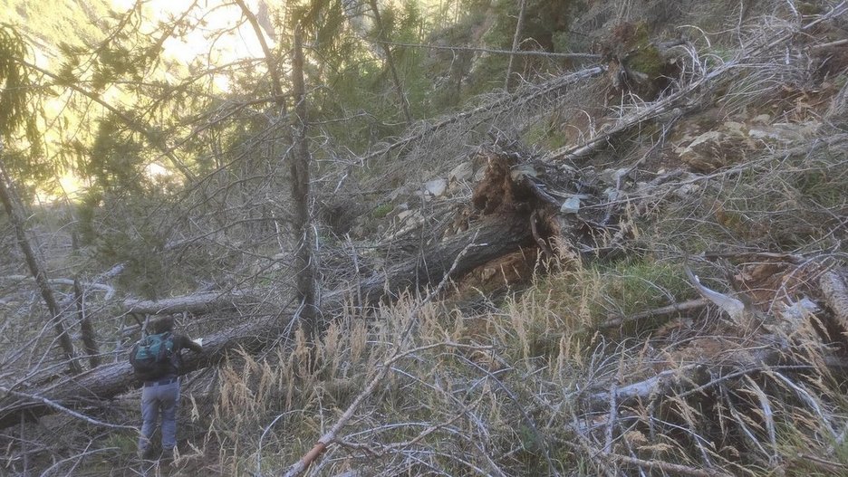 Alpin Geologie: Pfossentalerstraße-G.S.91.4 "Tschingl Lahn"