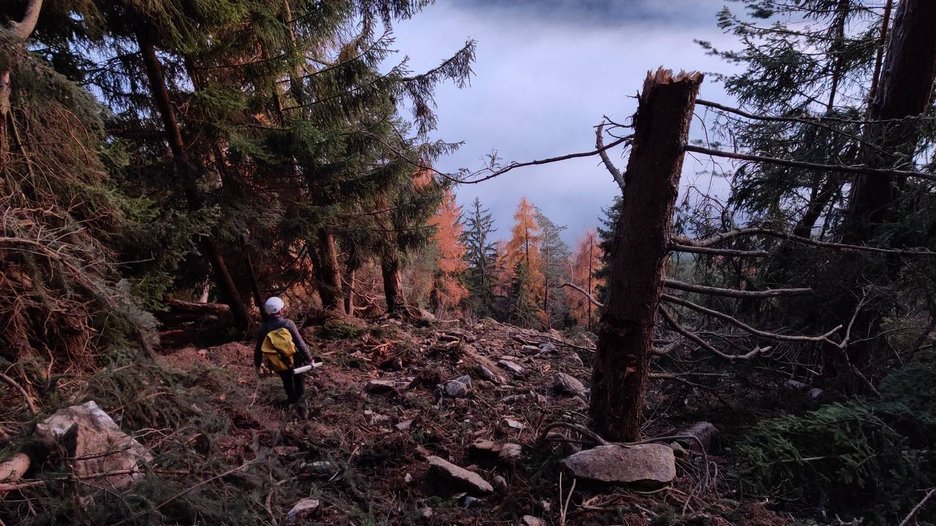 Alpin Geologie: Bau von Steinschlagschutzbauten entlang der Pustertaler Bahnlinie