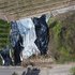 Maßnahmen höchster Dringlichkeit und geologische Bauleitung der Arbeiten zur Wiederherstellung