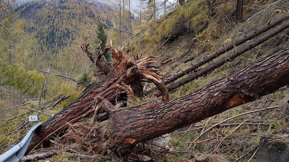 Alpin Geologie: Emergency operations (storm 2019) along the rural road (91.4) of the Pfossental valley