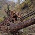 Dringlichkeitseinsätze Unwetter 2018 an der G.S.91.4-Pfossental