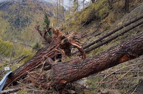 Emergency operations (storm 2019) along the rural road (91.4) of the Pfossental valley