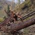 Emergency operations (storm 2019) along the rural road (91.4) of the Pfossental valley