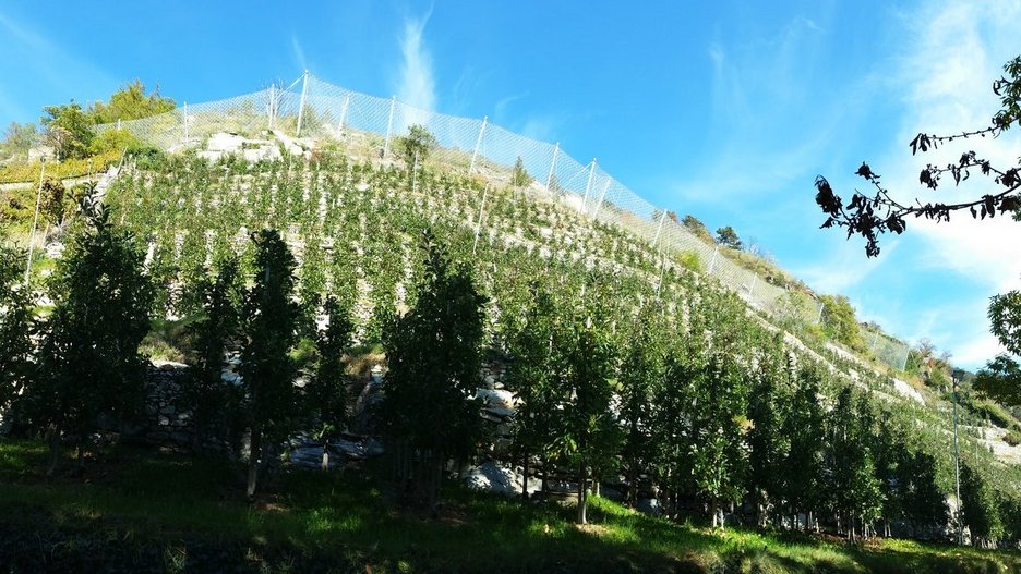 Alpin Geologie: Planung und Bauleitung der Schutzmaßnahmen im Bereich Franziskusviertel