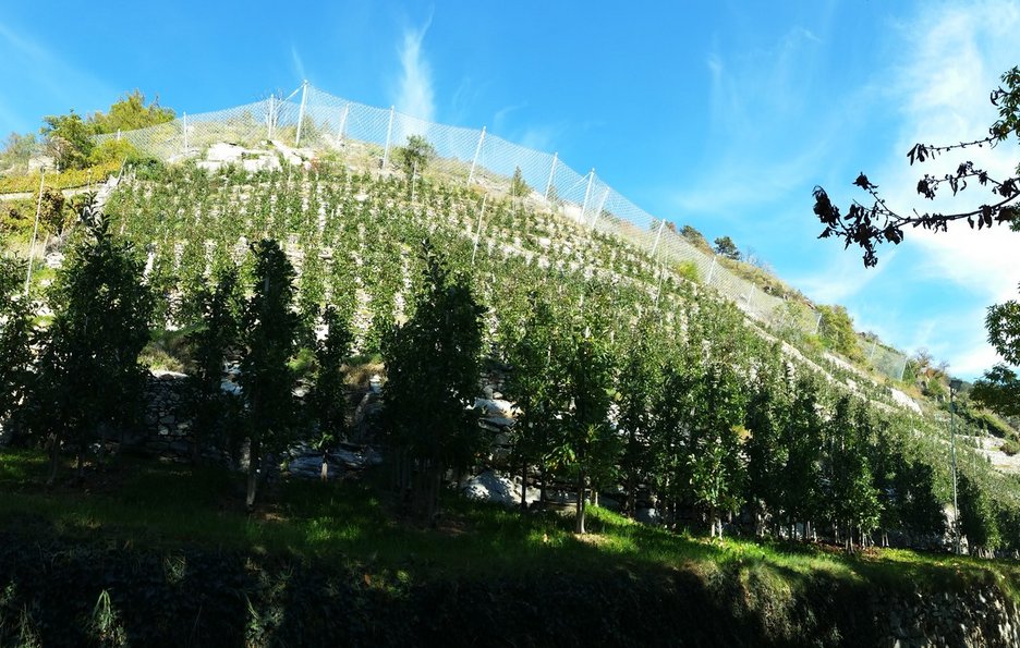 Alpin Geologie: Progettazione e Direzione lavori degli interventi di messa in sicurezza nel quartiere S. Francesco